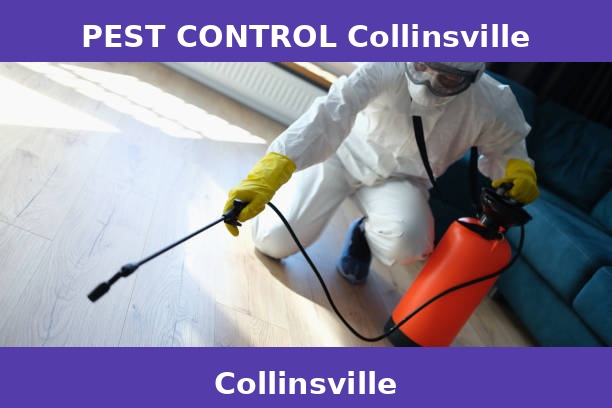 PEST CONTROL Collinsville